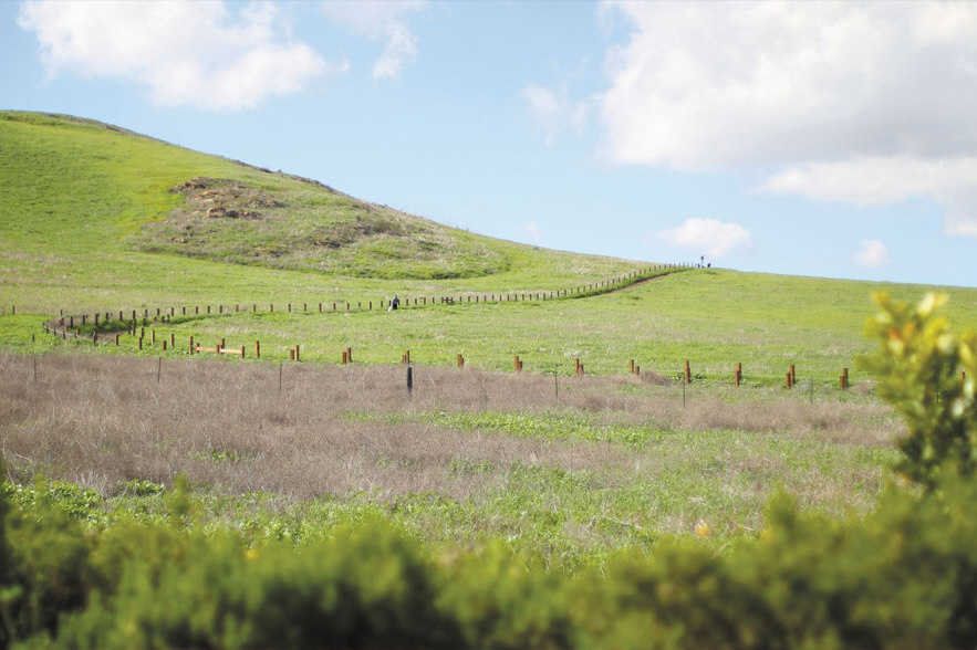 Quail Hill Reservoirs and Pump Station, Irvine